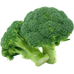 Broccoli