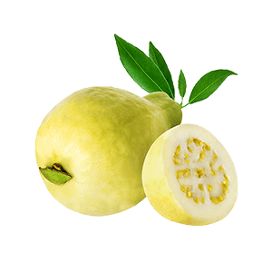 Guava